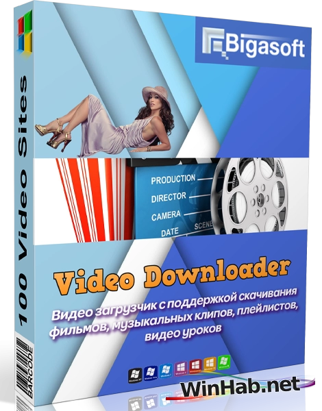 Загрузчик видео Bigasoft Video Downloader 3.27.5.9062 Полная + Портативная версии by 9649