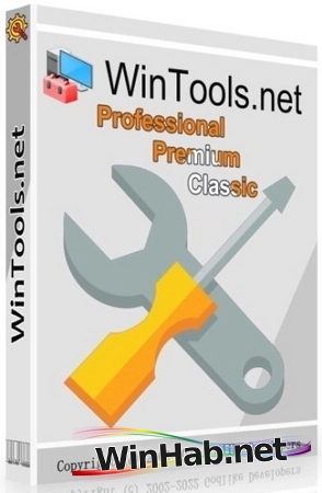 Ускорение ПК WinTools.net 25.7.1 Premium by elchupacabra
