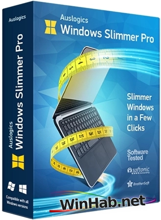 Оптимизация Windows Auslogics Windows Slimmer 5.1.0.1 + Portable
