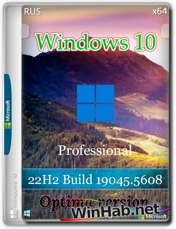 Windows 10 Optima Pro 22H2 19045.5608 x64