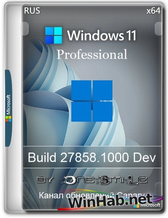 Windows 11 Pro by OneSmiLe Dev build 27858.1000