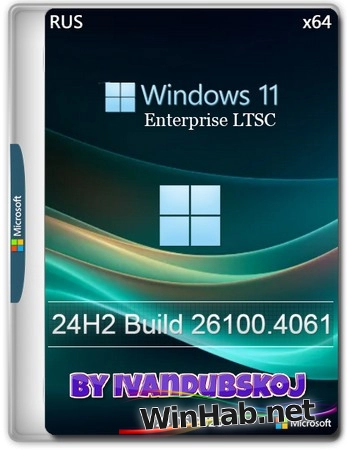 Windows 11 Enterprise LTSC 24Н2 Build 26100.4061 by ivandubskoj