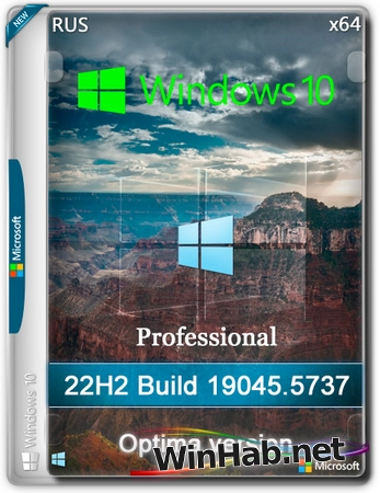 Windows 10 Optima Pro 22H2 19045.5737 x64