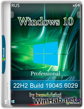Windows 10 Pro x64 22Н2 Build 19045.6029 by ivandubskoj