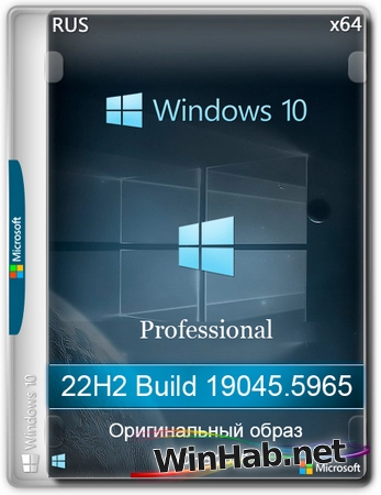 Windows 10 Pro 22H2 Build 19045.5965 Full Июнь 2025