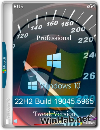 Windows 10 Professional 22H2 Build 19045.5965 Tweak