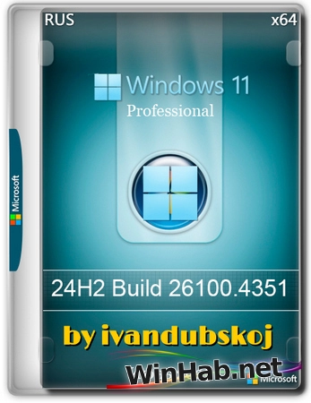 Windows 11 Pro 24Н2 Build 26100.4351 by ivandubskoj