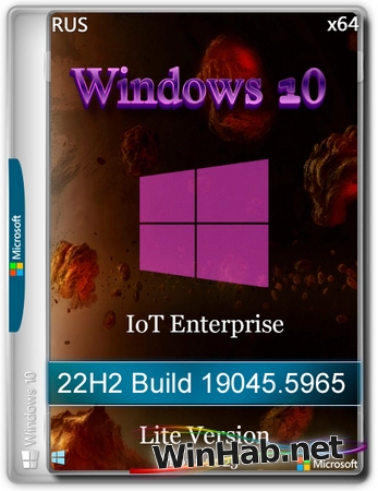 Windows 10 Lite IoT Enterprise 22H2 Build 19045.5965