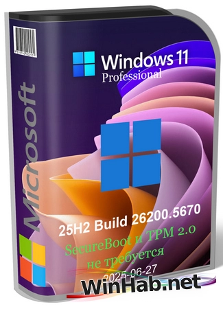 Windows 11 Pro 25H2 Build 26200.5670 Dev