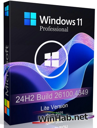 Windows 11 Pro 24H2 build 26100.4349 Lite