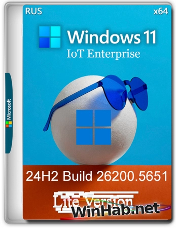 Windows 11 Lite IoT Enterprise 24H2 Build 26200.5651