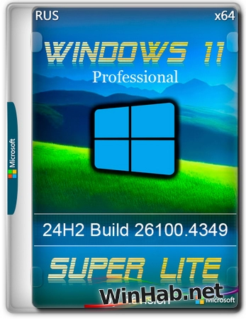 Windows 11 Pro 24H2 Super Lite 26100.4349 by Revision