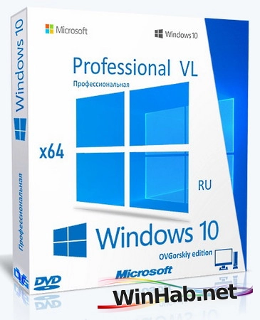 Windows 10 Pro VL x64 22H2 RU by OVGorskiy 07.2025