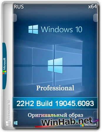 Windows 10 Pro 22H2 Build 19045.6093 Full Июль 2025