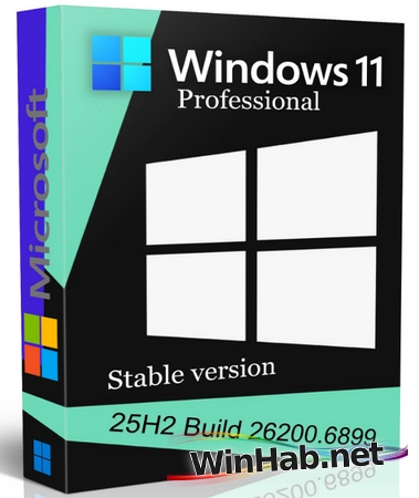 Windows 11 Pro 25H2 build 26200.6899 Stable