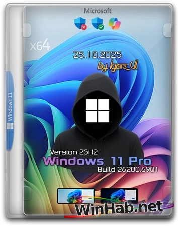 Windows 11 Pro 25H2 Build 26200.6901 by Igors_VL