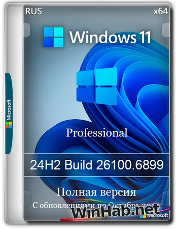 Windows 11 Pro 24H2 Build 26100.6899 Full Октябрь 2025