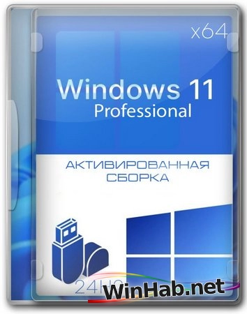 Windows 11 Pro Lite 24H2 build 26100.7171
