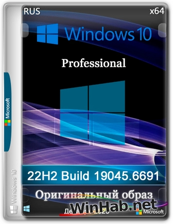Windows 10 Pro 22H2 Build 19045.6691 Full Декабрь 2025