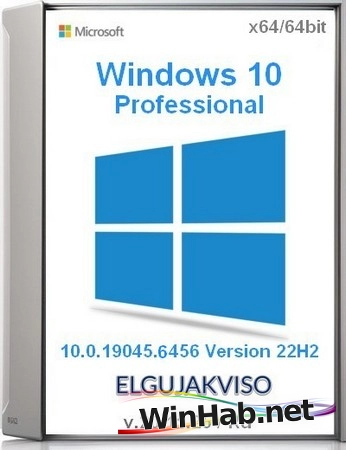 Windows 10 Pro 22H2 19045.6456 Elgujakviso Edition (v.20.11.25)