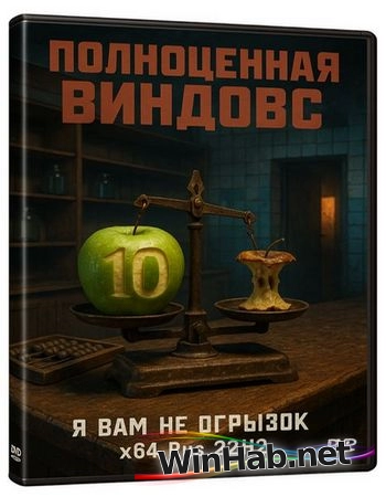 Windows 10 Pro x64 на Русском 22H2 Build 19045.6456 by Rsload