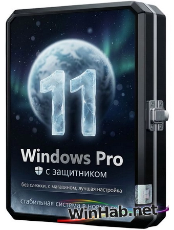 Windows 11 Pro 25H2 26200.7462 + Defender + Store by Rsload