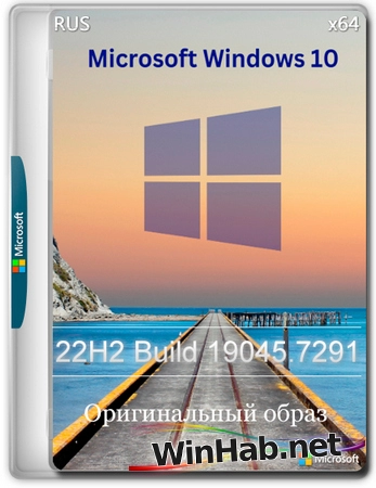 Windows 10 Pro 22H2 Build 19045.7291 Full Май 2026