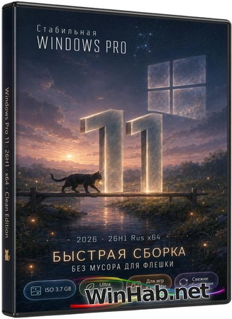Быстрая сборка Windows 11 26H1 (Июнь 2026 28000.2269) by Rsload