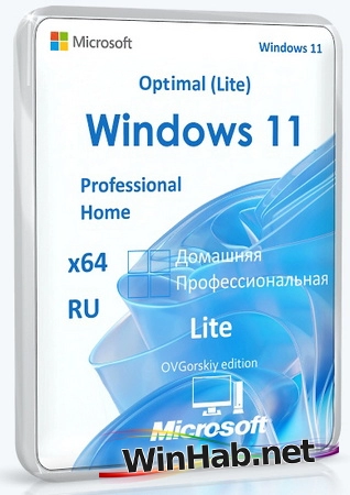 Windows 11 Pro-Home Optim Lite 25H2 by OVGorskiy 06.2026
