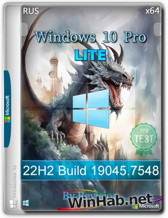 Windows 10 Pro 22H2 Lite Build 19045.7548 by Revision