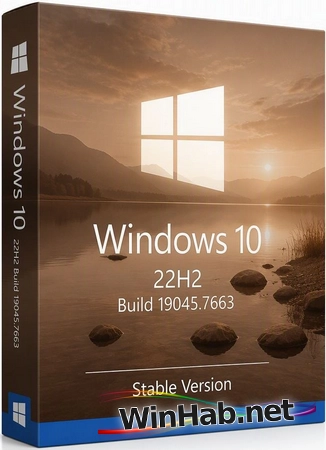 Windows 10 Pro 22H2 Build 19045.7663 Stable