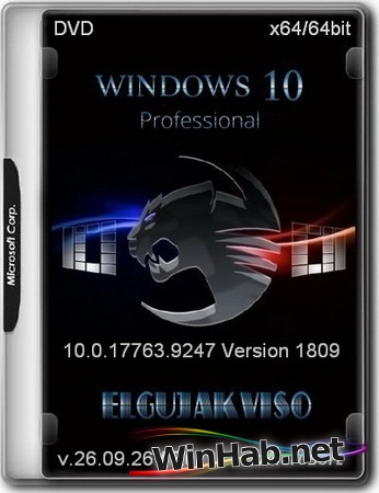 Windows 10 Pro 1809 Build 17763.9247 by Elgujakviso Edition