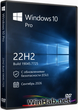 Windows 10 Pro 22H2 Build 19045.7725 Full Сентябрь 2026