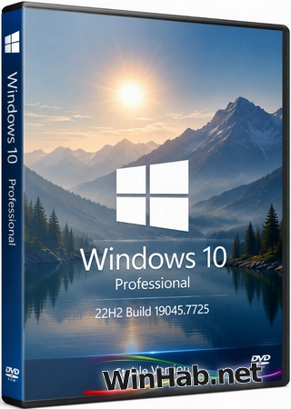 Windows 10 Pro 22H2 Build 19045.7725 Stable
