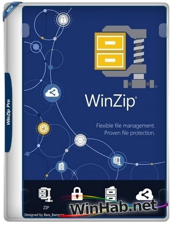 Архиватор  WinZip Pro 31.0.17240