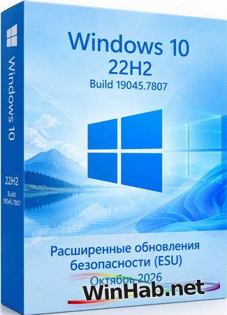 Windows 10 Pro 22H2 Build 19045.7807 Full Октябрь 2026