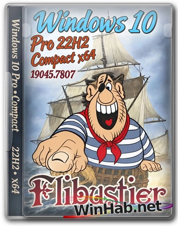 Обновлённая сборка Flibustier - Windows 10 Pro 22H2 Build 19045.7807 Compact x64