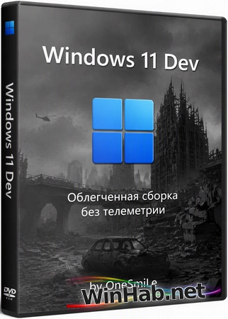 Windows 11 Pro Dev version Build 29683.1000 by OneSmiLe